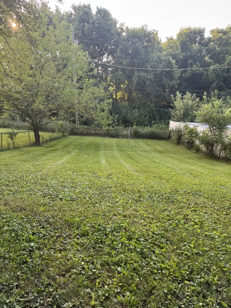 Trusted residential landscaping experts serving Cold Spring, KY - Easy Green