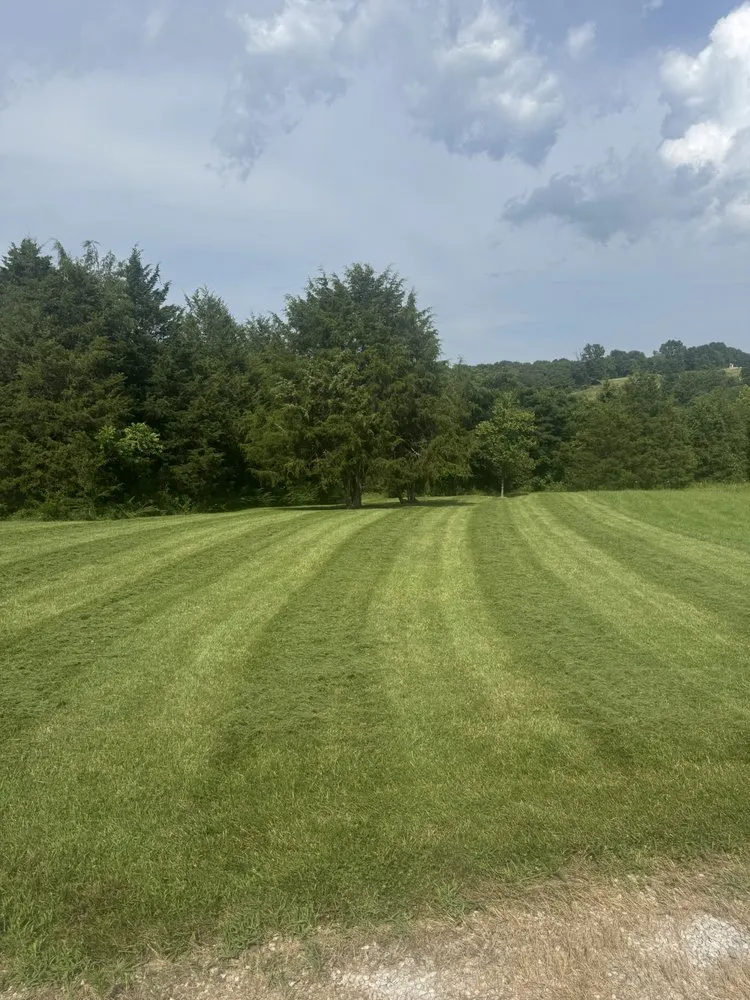 Trusted residential landscaping for year-round maintenance across Cold Spring, KY - Easy Green
