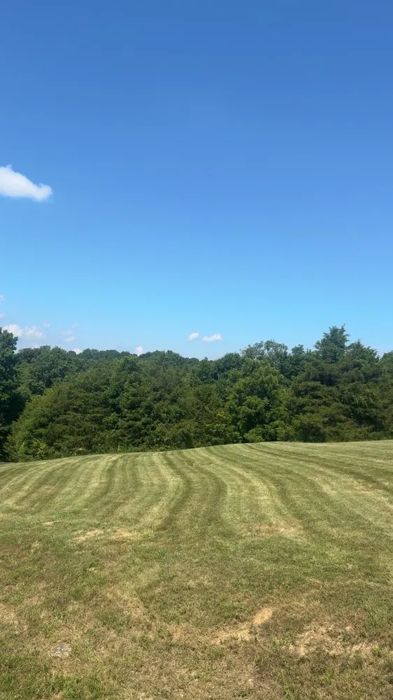 Affordable garden landscaping for homes in Cold Spring, KY by Easy Green