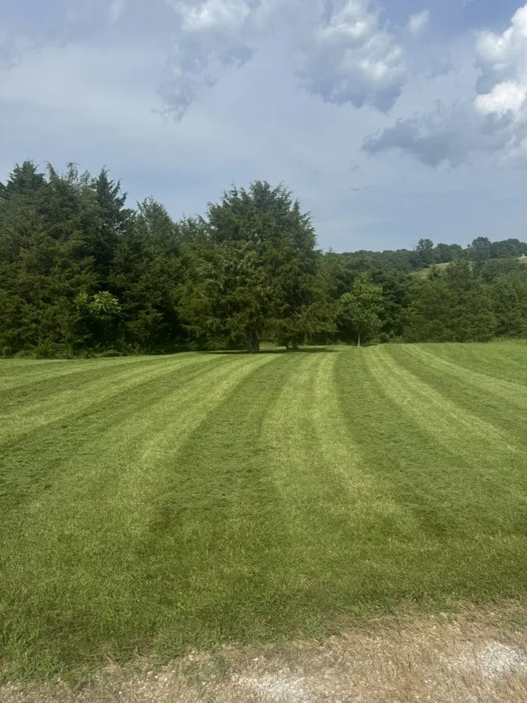 Expert yard maintenance experts serving Cold Spring, KY - Easy Green