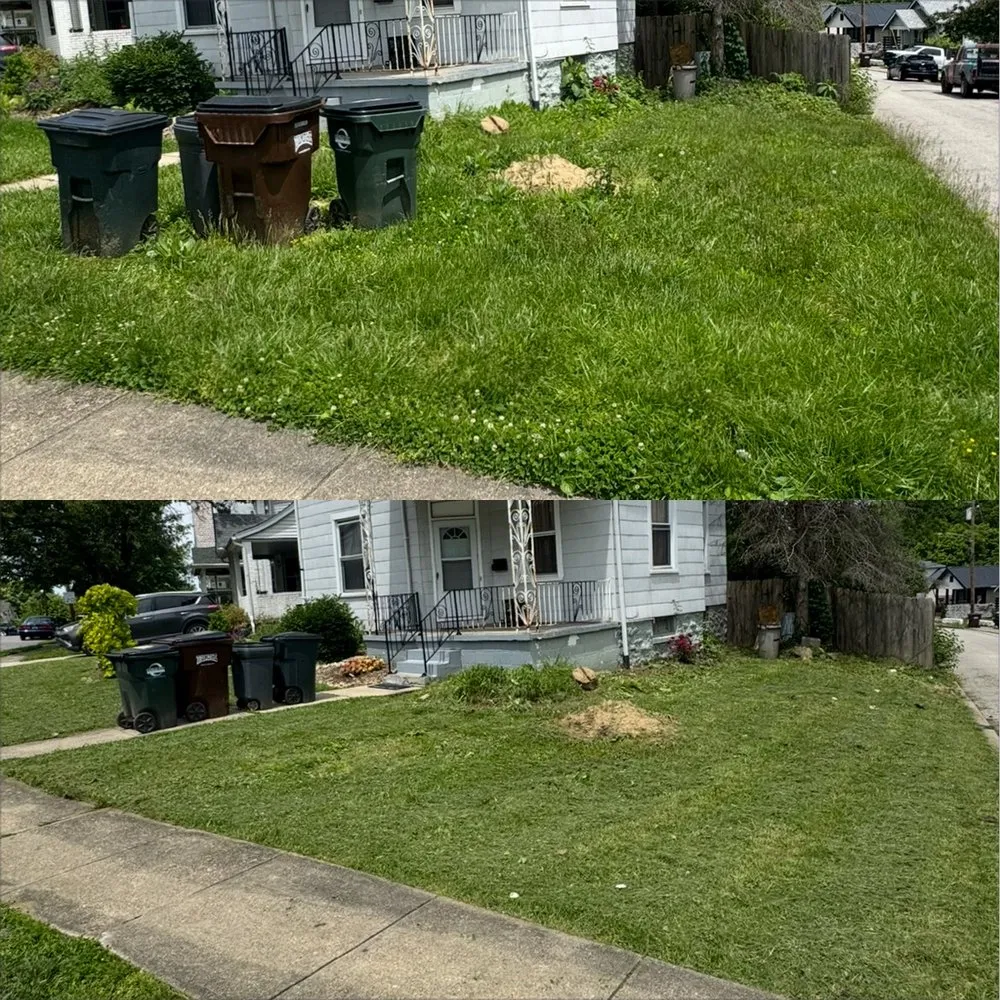 Professional yard maintenance for residential properties in Cold Spring, KY by Easy Green