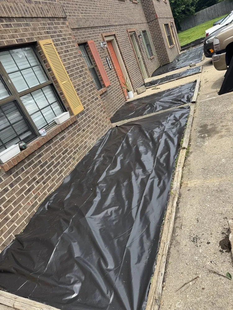 Expert yard maintenance in Cold Spring, KY - Easy Green