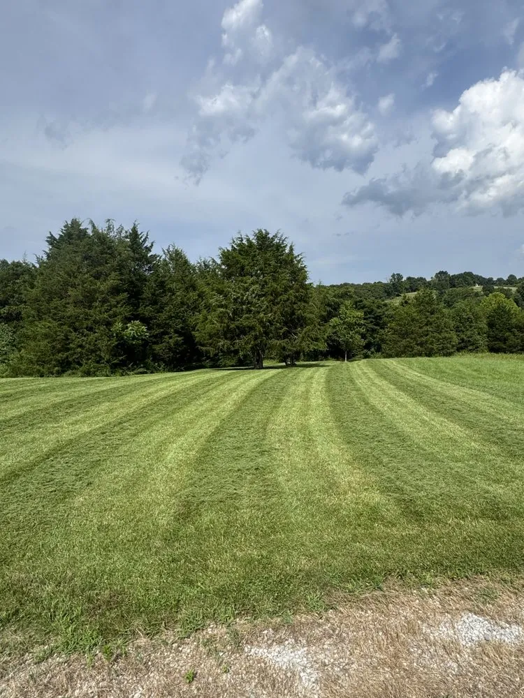 Expert garden landscaping for beautiful yards across Cold Spring, KY - Easy Green