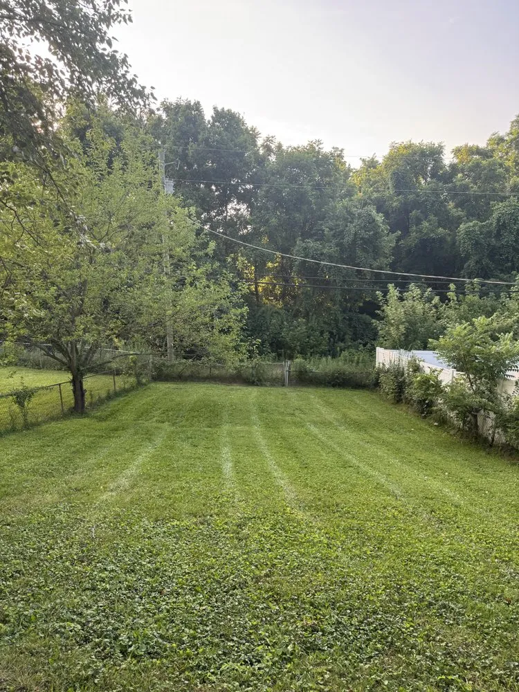Custom lawn mowing service for outdoor upgrades in Cold Spring, KY by Easy Green