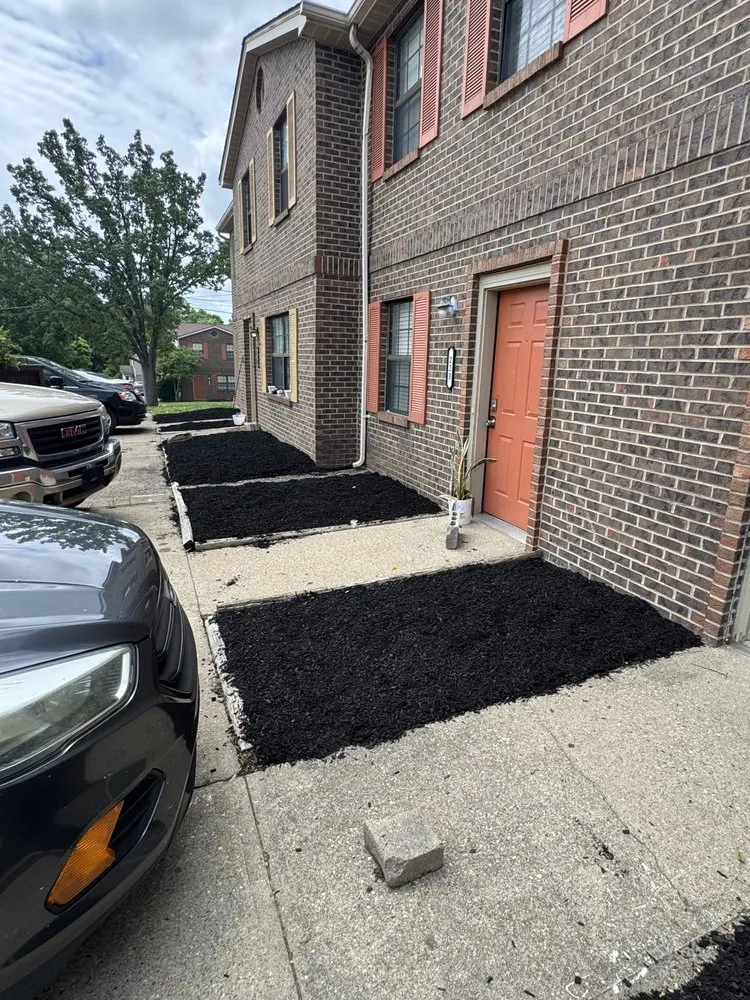 Affordable yard cleanup service experts serving Cold Spring, KY - Easy Green