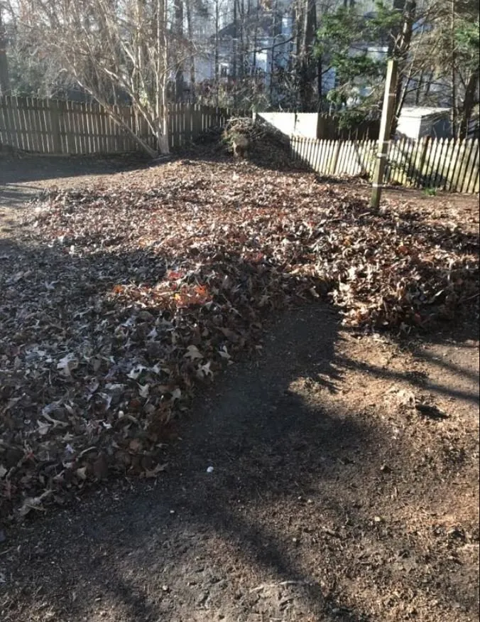 Local outdoor landscaping in Lawrenceville, GA by Easy Green Landscaping & Design