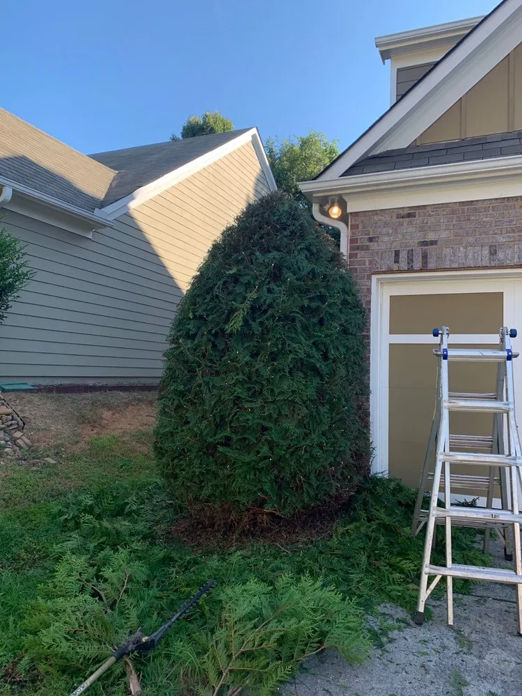 Top-rated landscape installation with custom design in Lawrenceville, GA by Easy Green Landscaping & Design