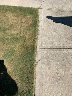 Expert outdoor landscaping for residential properties in Lawrenceville, GA by Easy Green Landscaping & Design