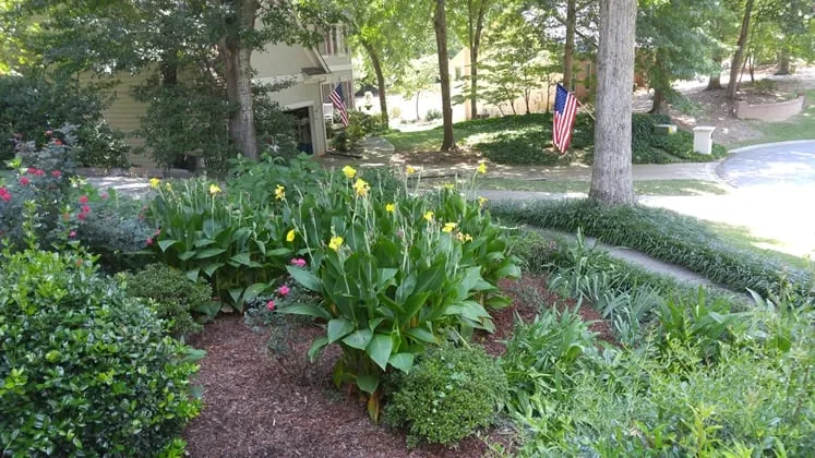 Top-rated residential landscaping in Lawrenceville, GA - Easy Green Landscaping & Design