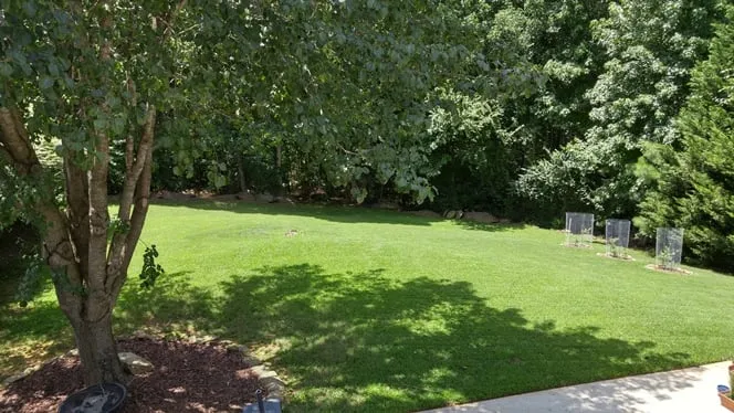 Affordable residential landscaping in Lawrenceville, GA by Easy Green Landscaping & Design