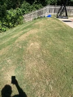 Expert landscaping services in Lawrenceville, GA - Easy Green Landscaping & Design