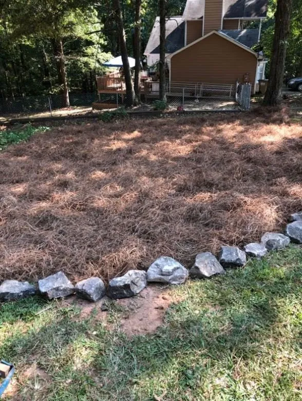 Professional yard cleanup service experts serving Lawrenceville, GA - Easy Green Landscaping & Design