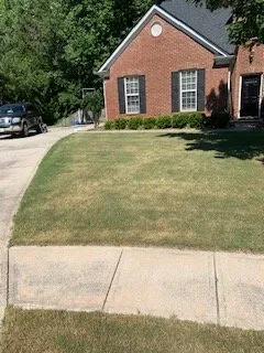 Top-rated lawn care service experts serving Lawrenceville, GA - Easy Green Landscaping & Design
