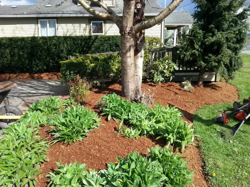 Expert landscaping services in Monroe, WA - Easy Green Landscaping