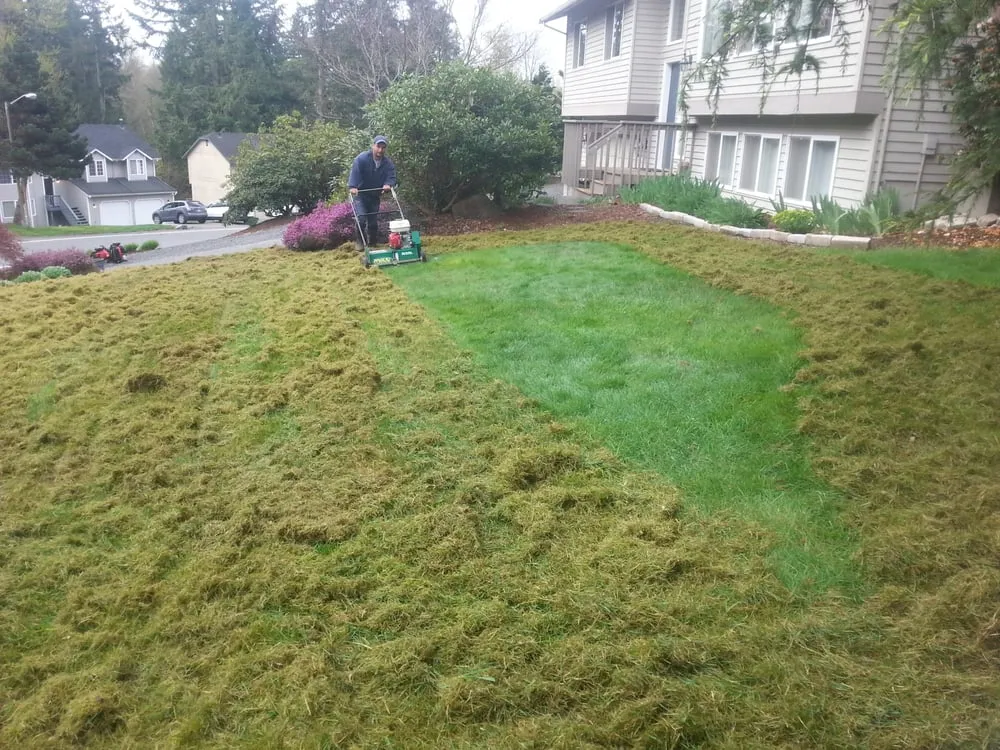 Affordable garden landscaping for residential properties in Monroe, WA by Easy Green Landscaping