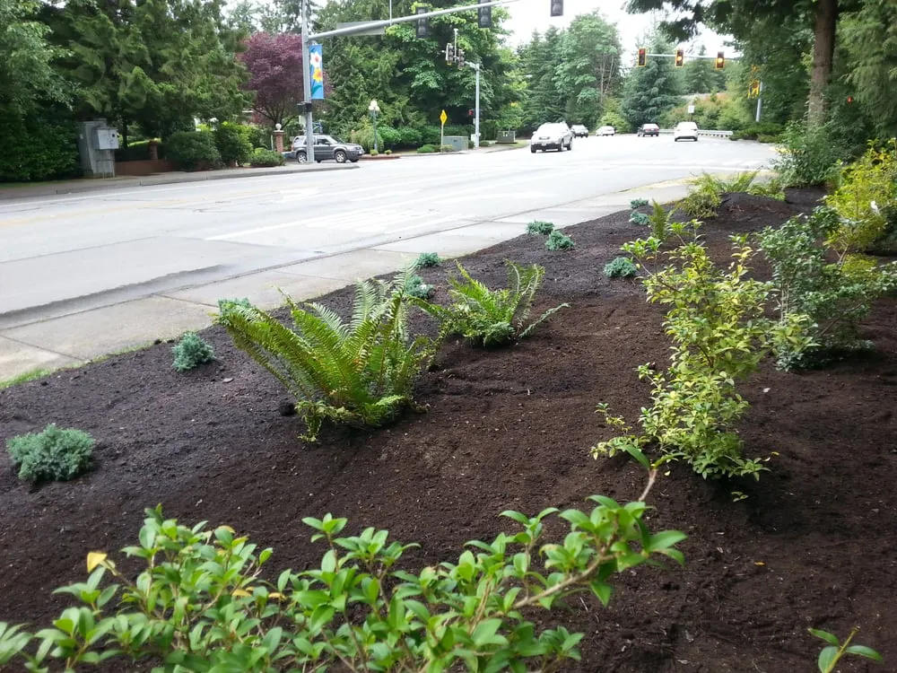 Reliable yard maintenance experts serving Monroe, WA - Easy Green Landscaping