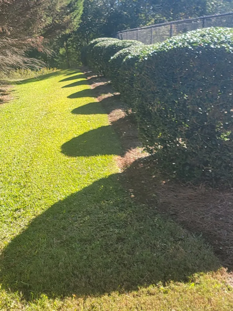 Custom landscape design experts serving Athens, GA - Easy Green Lawn Care & Landscaping