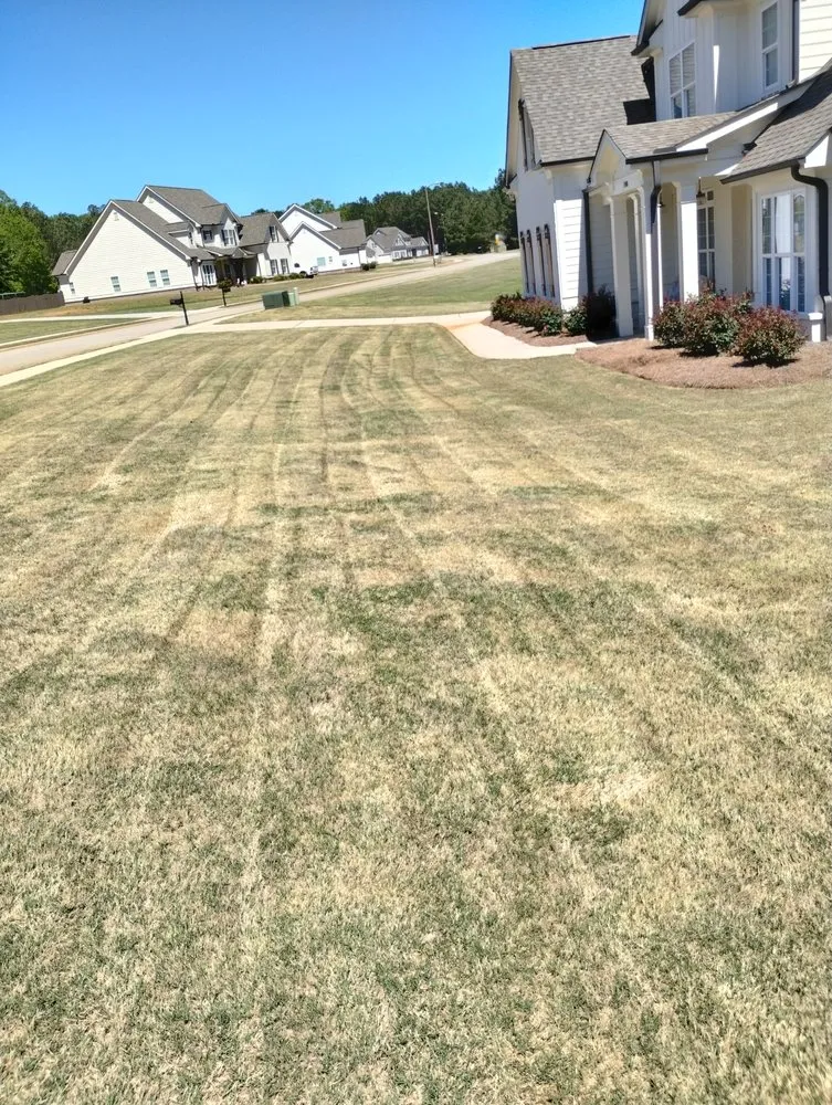 Top-rated lawn mowing service for beautiful yards across Athens, GA - Easy Green Lawn Care & Landscaping