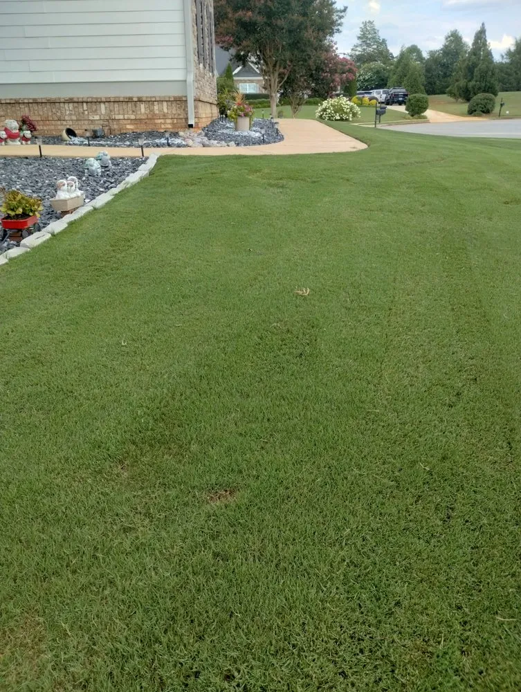 Local lawn mowing service in Athens, GA - Easy Green Lawn Care & Landscaping