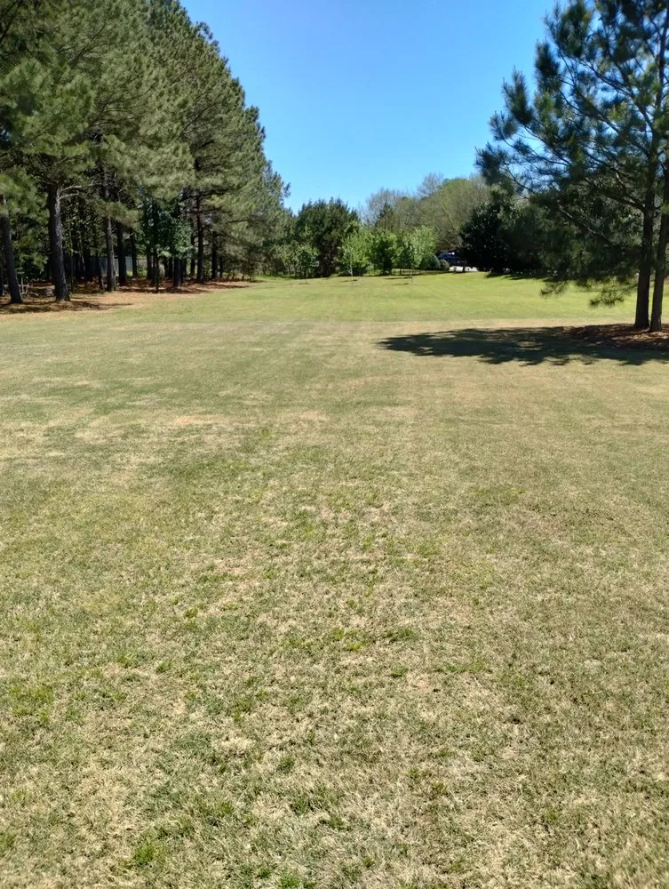 Affordable landscaping services for residential properties in Athens, GA by Easy Green Lawn Care & Landscaping