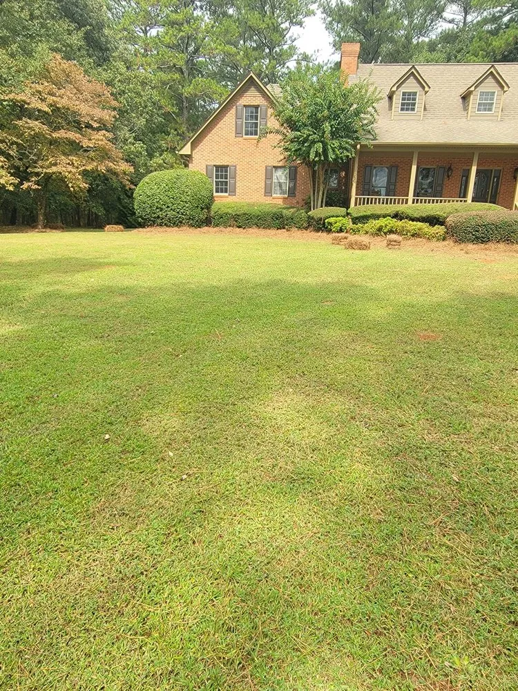 Top-rated lawn mowing service for beautiful yards across Athens, GA - Easy Green Lawn Care & Landscaping