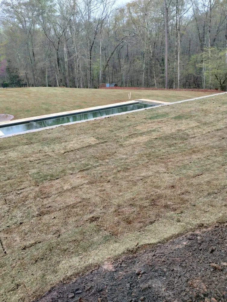 Custom yard cleanup service in Athens, GA by Easy Green Lawn Care & Landscaping