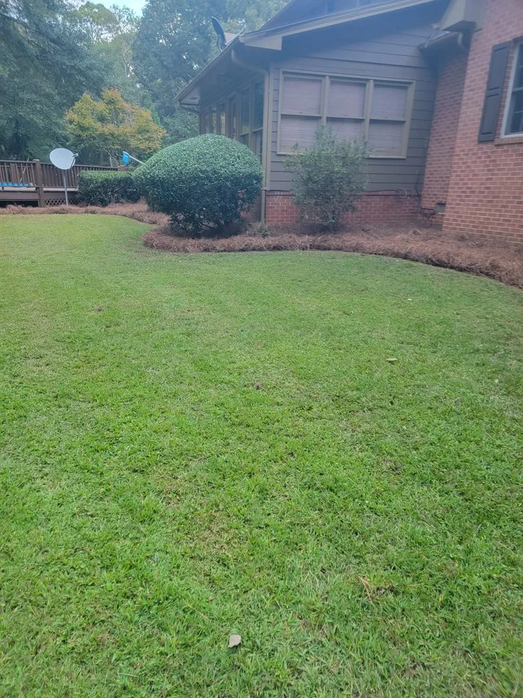 Reliable yard cleanup service for outdoor upgrades across Athens, GA - Easy Green Lawn Care & Landscaping