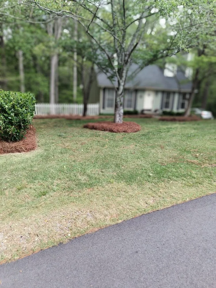Top-rated landscaping services near you across Athens, GA - Easy Green Lawn Care & Landscaping