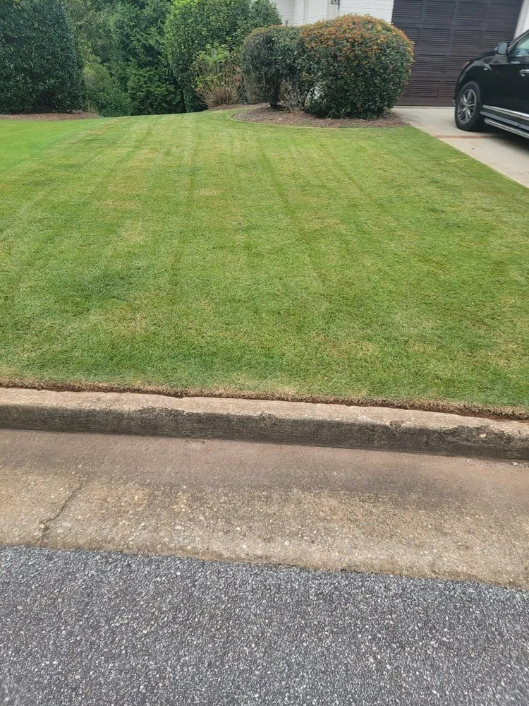 Local landscaping services in Athens, GA - Easy Green Lawn Care & Landscaping