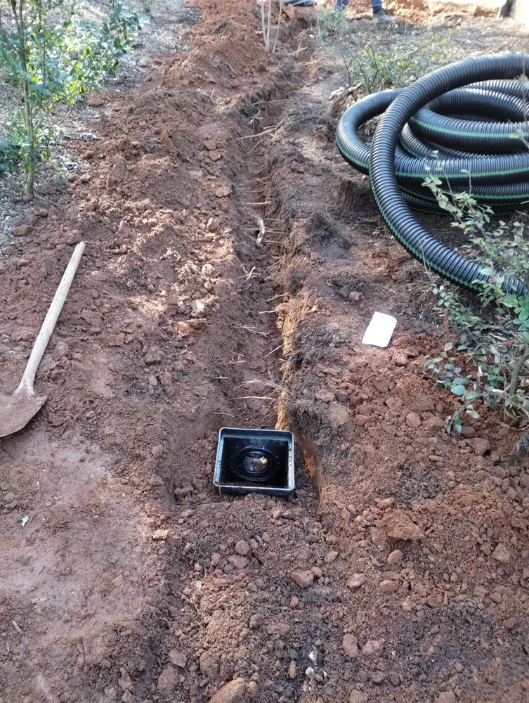 Affordable landscape installation in Athens, GA by Easy Green Lawn Care & Landscaping