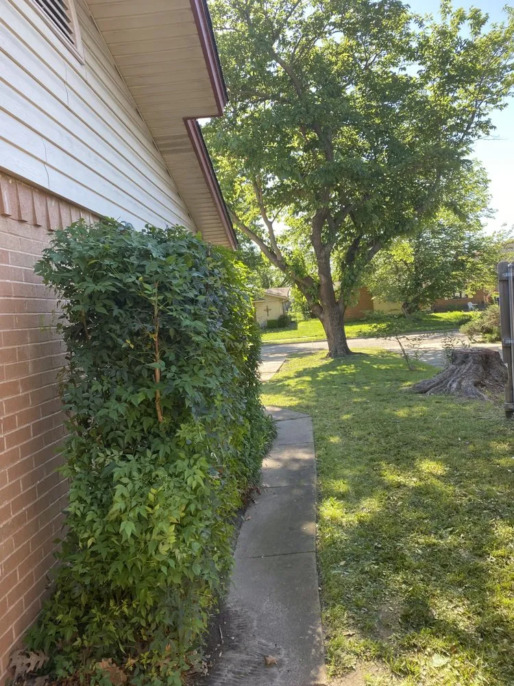 Professional outdoor landscaping in Seagoville, TX - Easy Green Lawn Care