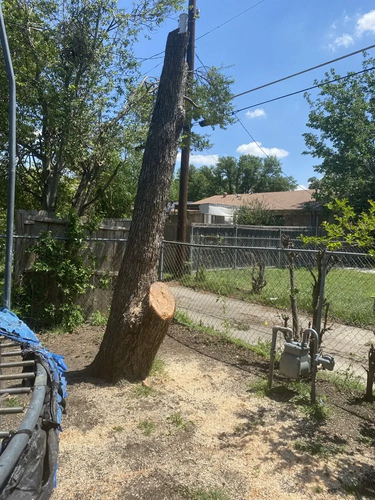 Affordable garden landscaping experts serving Seagoville, TX - Easy Green Lawn Care