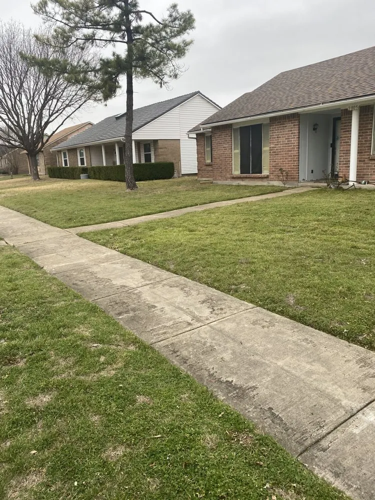 Expert landscaping services in Seagoville, TX by Easy Green Lawn Care
