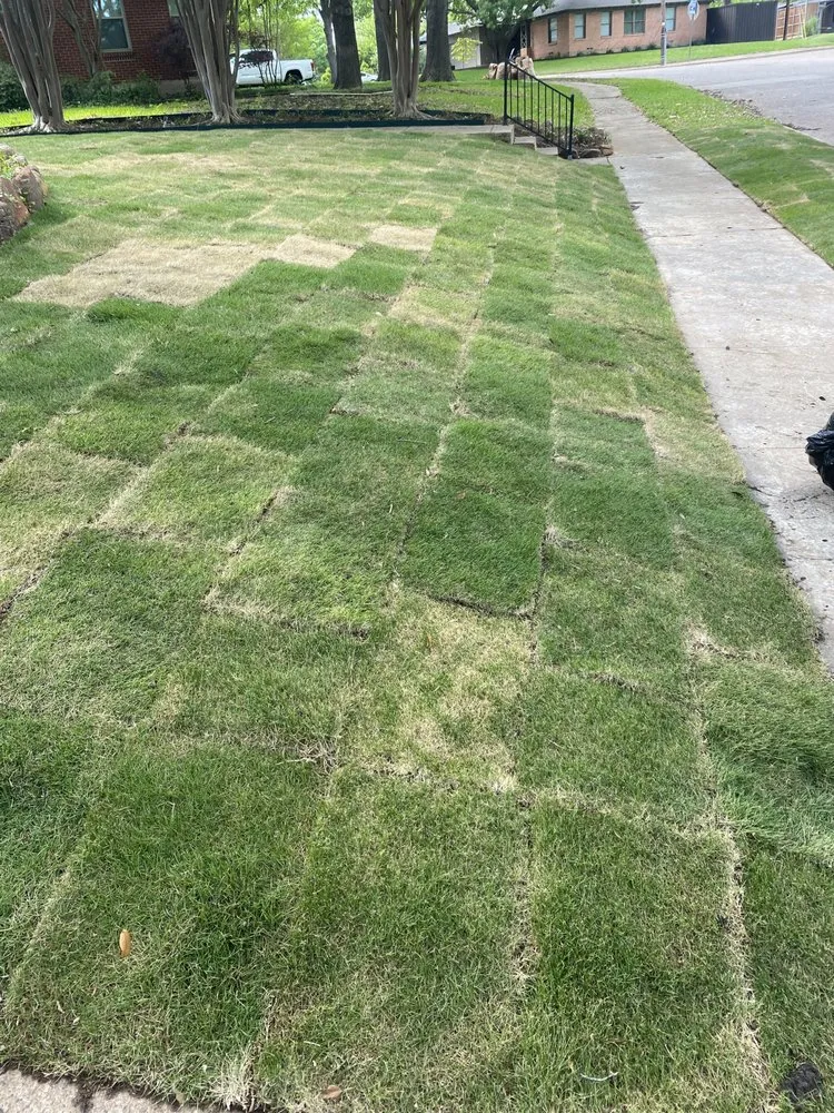 Trusted garden landscaping in Seagoville, TX - Easy Green Lawn Care