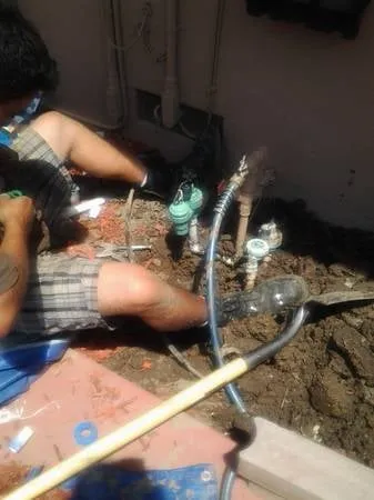 Local landscaping services experts serving San Jose, CA - Easy Landscaping & Maintenance