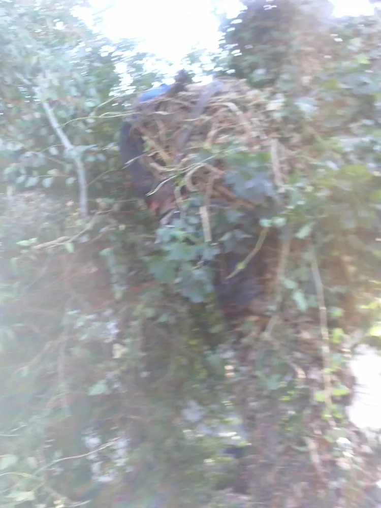 Top-rated garden landscaping for residential properties across San Jose, CA - Easy Landscaping & Maintenance