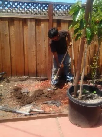 Expert landscaping services in San Jose, CA - Easy Landscaping & Maintenance