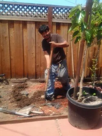 Reliable lawn mowing service for beautiful yards in San Jose, CA by Easy Landscaping & Maintenance