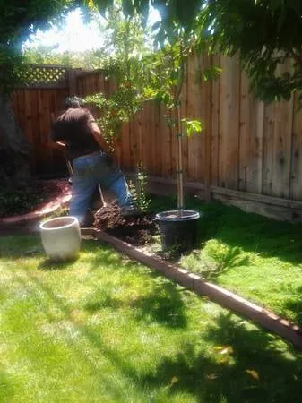 Local lawn care service experts serving San Jose, CA - Easy Landscaping & Maintenance