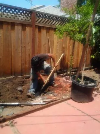 Reliable landscaping services for year-round maintenance in San Jose, CA by Easy Landscaping & Maintenance