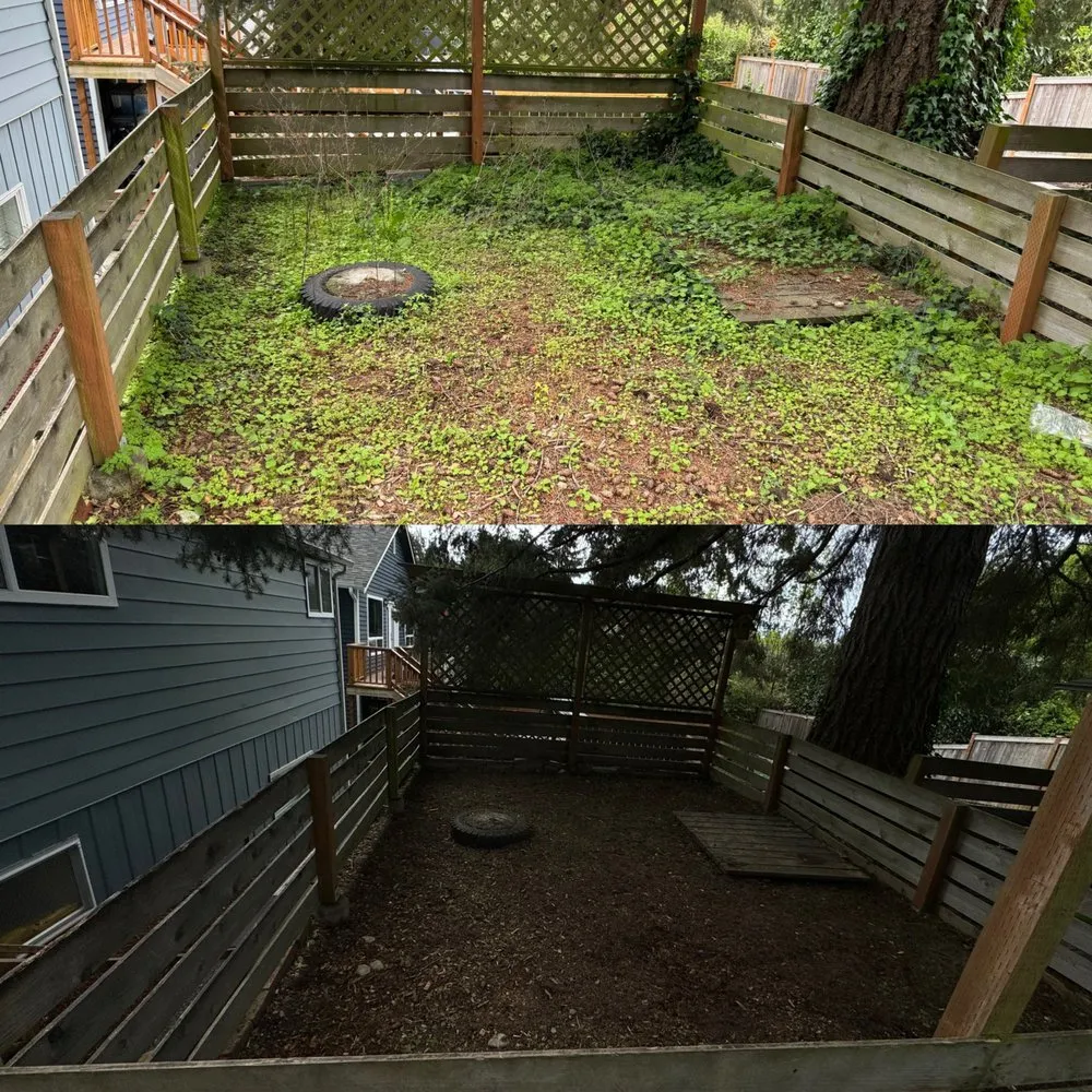 Affordable residential landscaping near you in Everet, WA by Easy Lawn Care & Landscaping