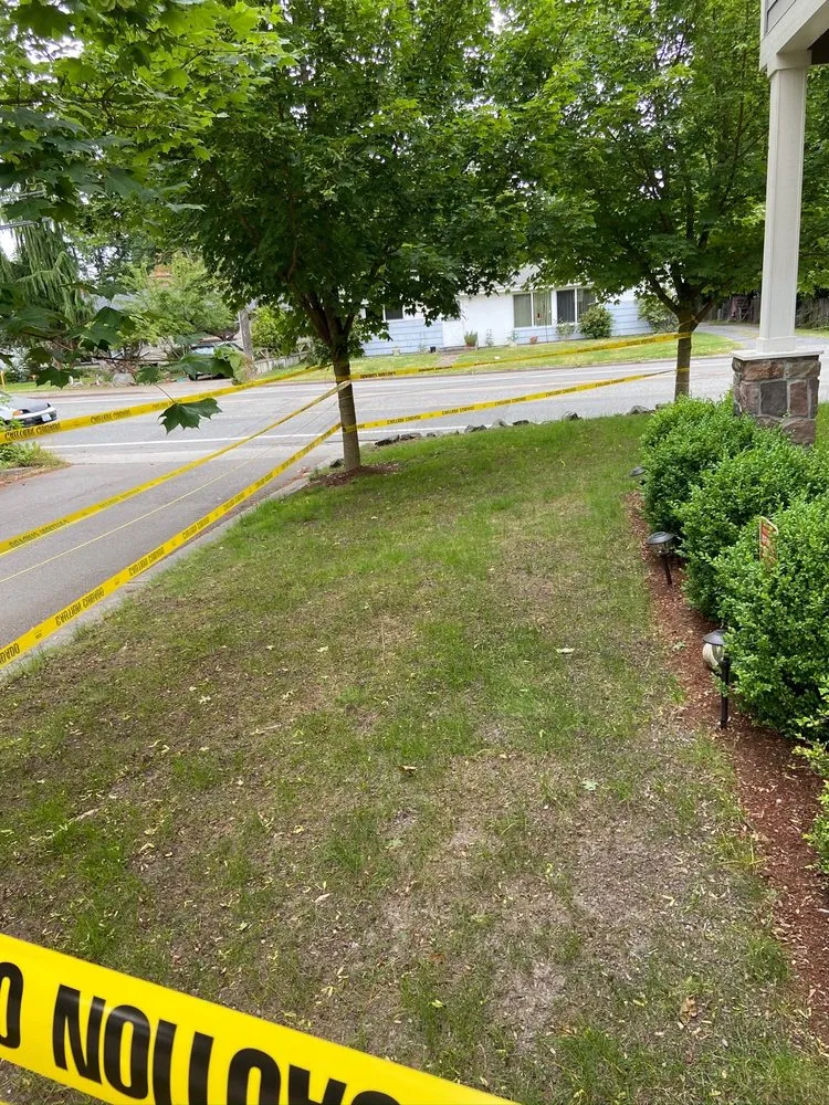 Affordable yard maintenance in Everet, WA by Easy Lawn Care & Landscaping