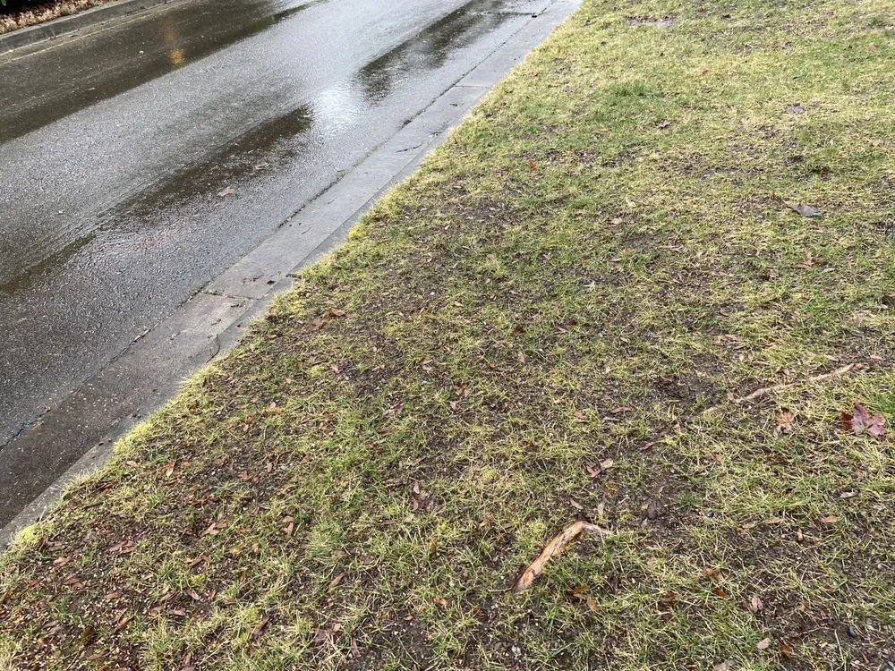 Professional landscape design for beautiful yards in Everet, WA by Easy Lawn Care & Landscaping