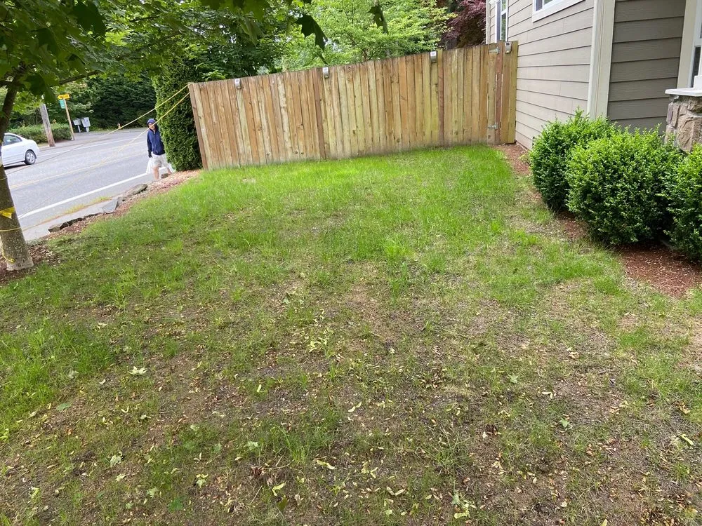 Top-rated landscape installation with custom design across Everet, WA - Easy Lawn Care & Landscaping