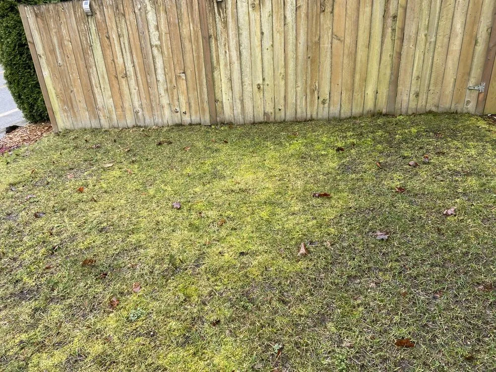 Expert lawn mowing service in Everet, WA - Easy Lawn Care & Landscaping