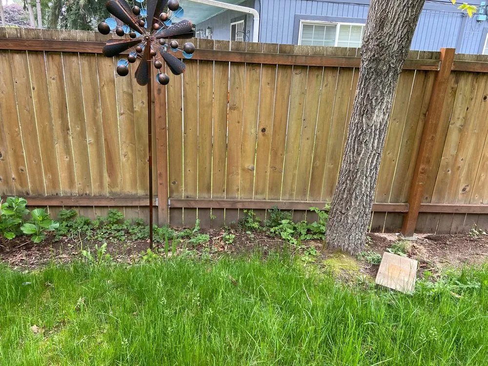 Professional lawn care service experts serving Everet, WA - Easy Lawn Care & Landscaping