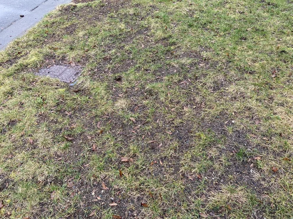 Custom outdoor landscaping in Everet, WA - Easy Lawn Care & Landscaping