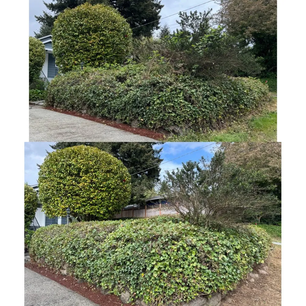 Top-rated garden landscaping with custom design in Everet, WA by Easy Lawn Care & Landscaping