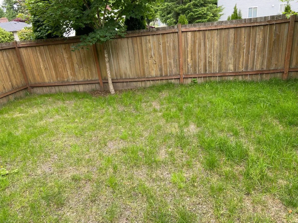 Local outdoor landscaping with custom design across Everet, WA - Easy Lawn Care & Landscaping