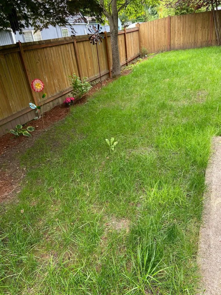 Top-rated yard maintenance for outdoor upgrades across Everet, WA - Easy Lawn Care & Landscaping